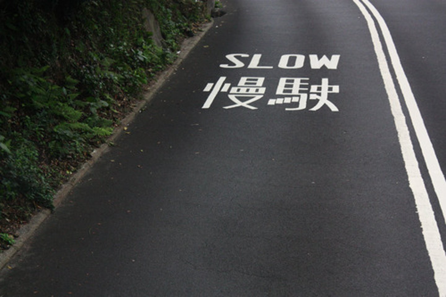 <p>character ，word</p>