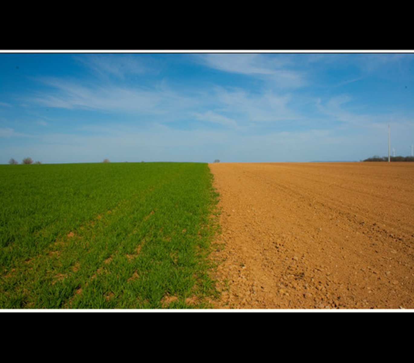 <p>A plot of uncultivated ( unused) land left alone to rest and regain fertility for next season to avoid overusing it during crop rotation</p>