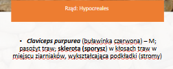 <p>Claviceps purpurea</p><p>Gr.: ASCOMYCOTA – grzyby workowe</p><p>     Podgr.: PEZIZOMYCOTINA </p>