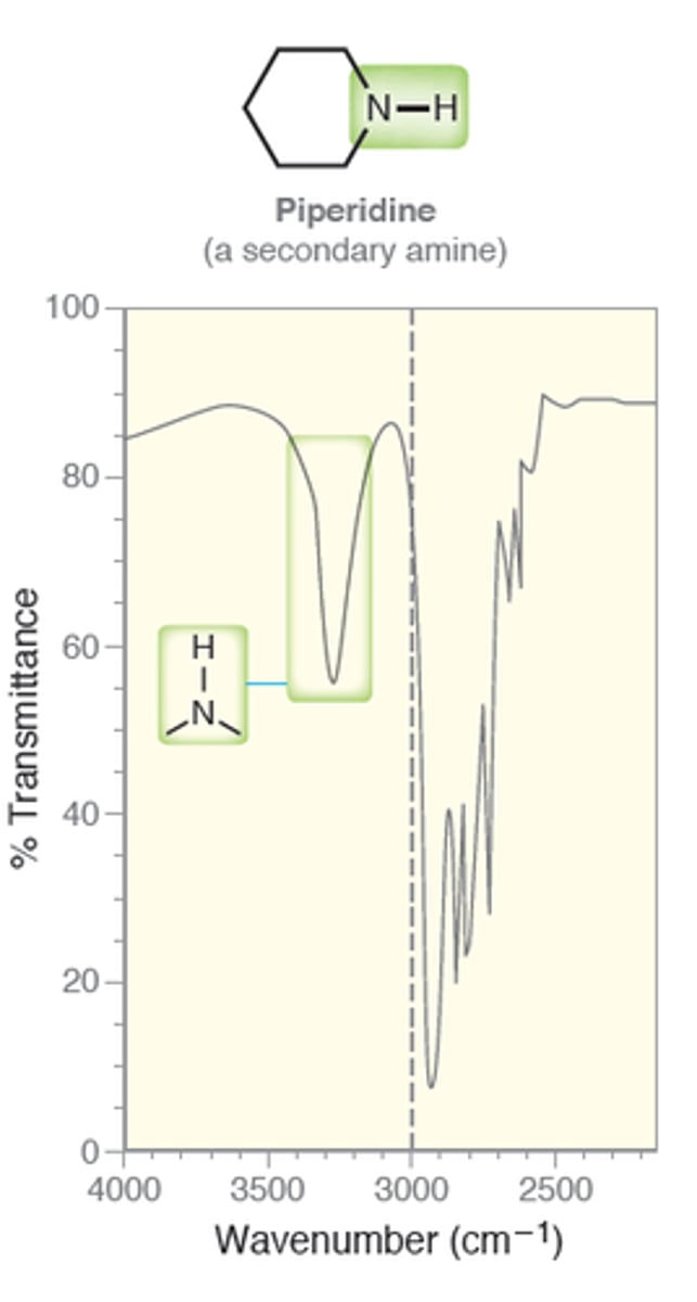 <p>Secondary Amine</p>