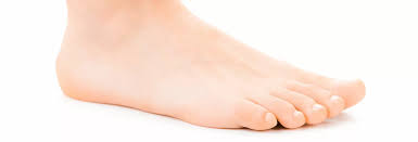 <p>foot</p>