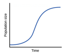 begins with period of slow growth followed by a brief exponential growth before leveling off at a stable size