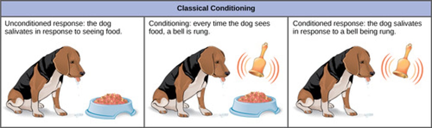 <p>unconditioned response</p><p>(Note: classical conditioning)</p>