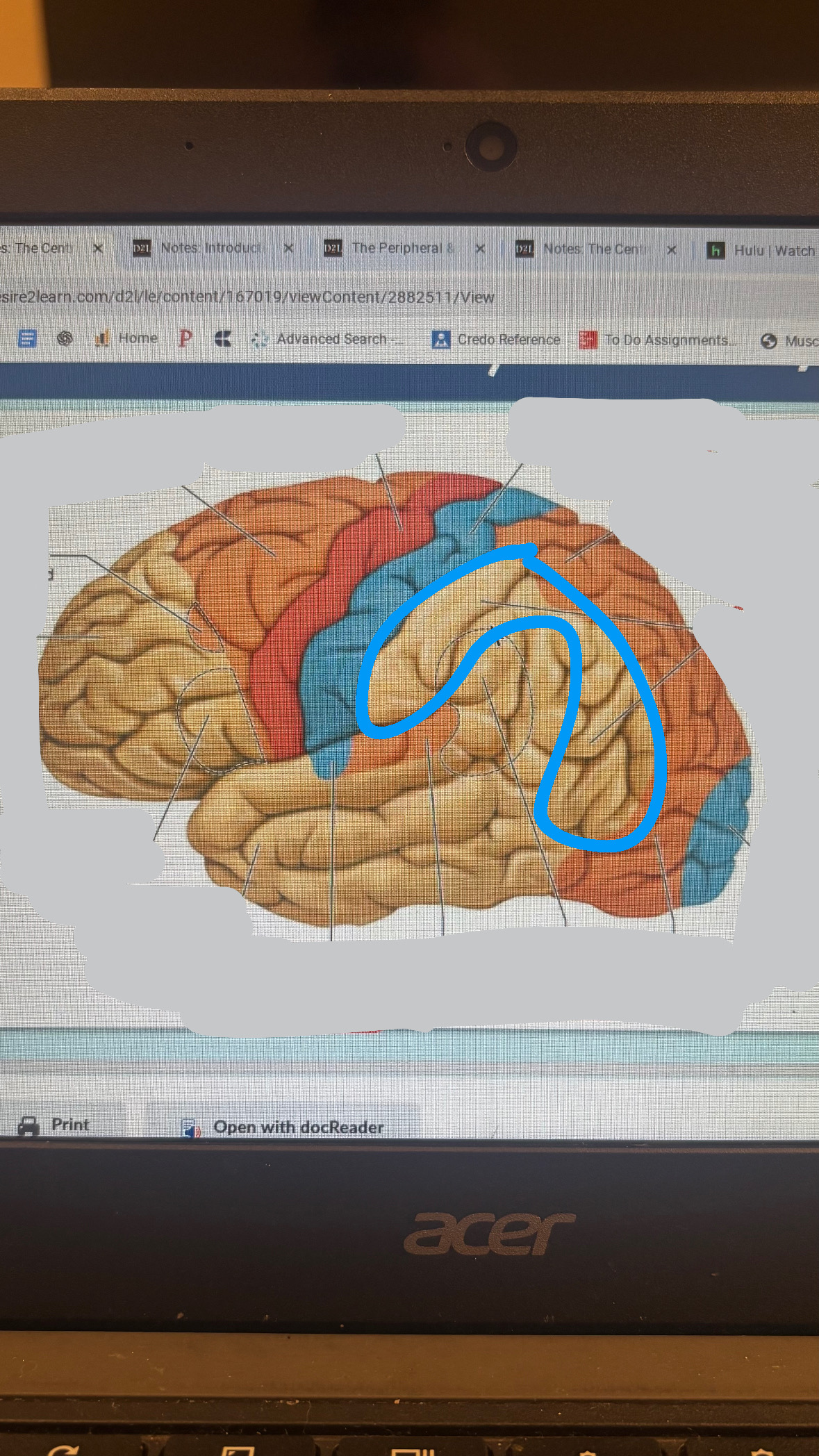 <p>wide variety of sensory integration tasks</p>
