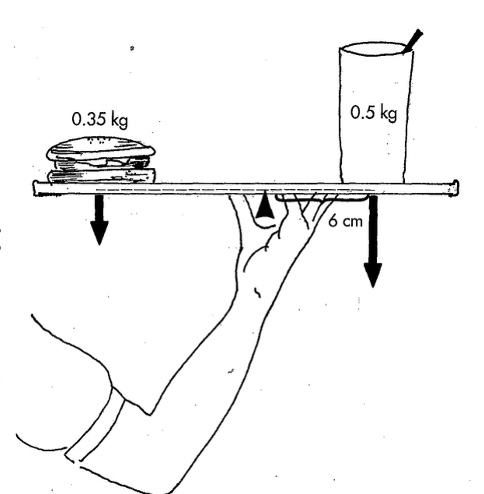 <p>2 parallel forces are applied on either side of an axis at some distance from that axis, creating rotation of the lever in opposite directions (teeter-totter) </p>