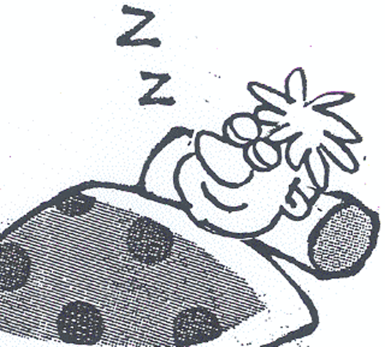 <p>to sleep</p>