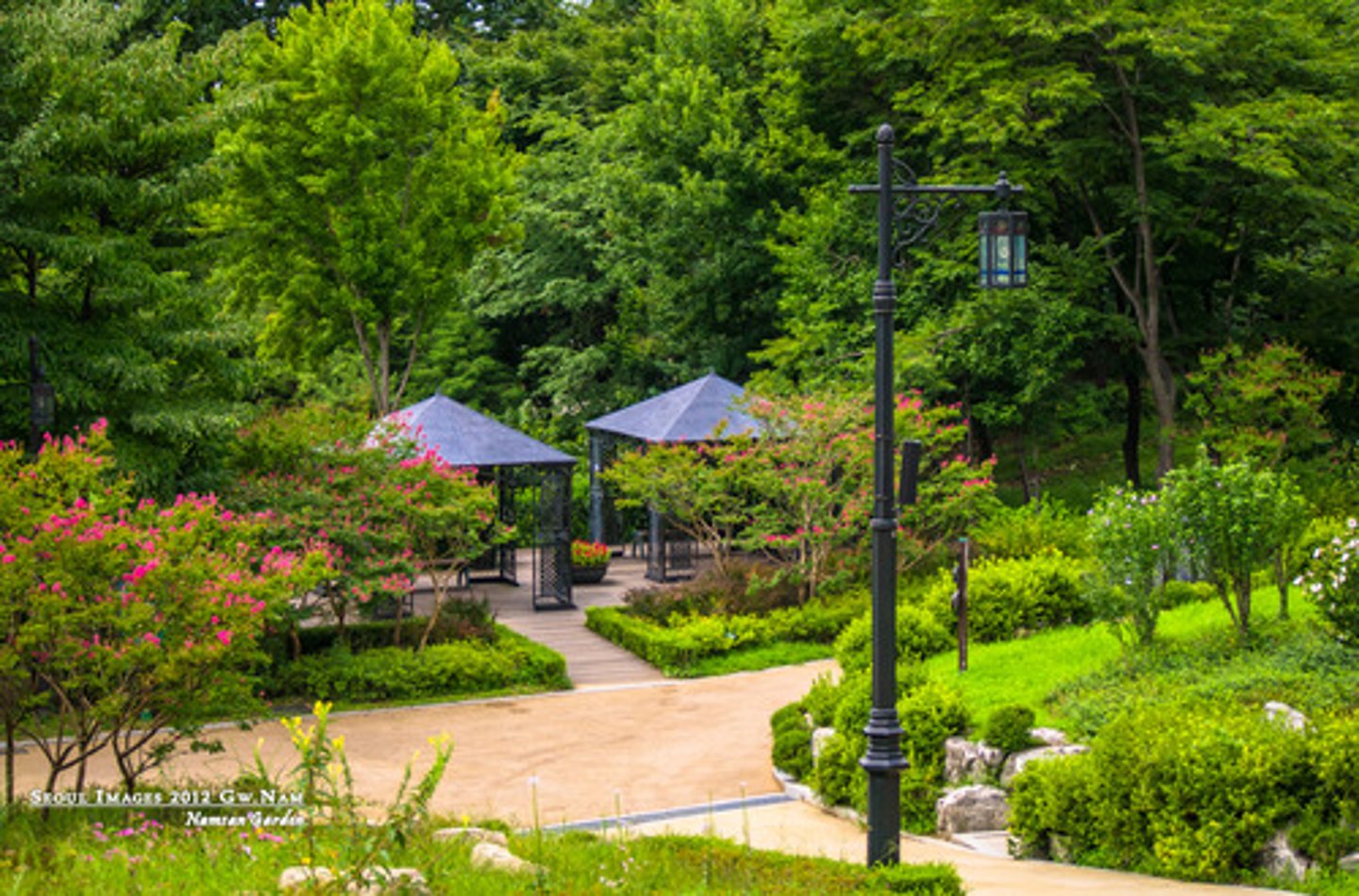 <p>Green leaves and plants</p><p>(cây xanh)</p><p>=foliage (tán lá)</p><p>&gt;</p>