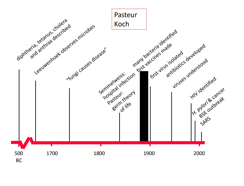 <p>louis pasteur  - germ theory </p>