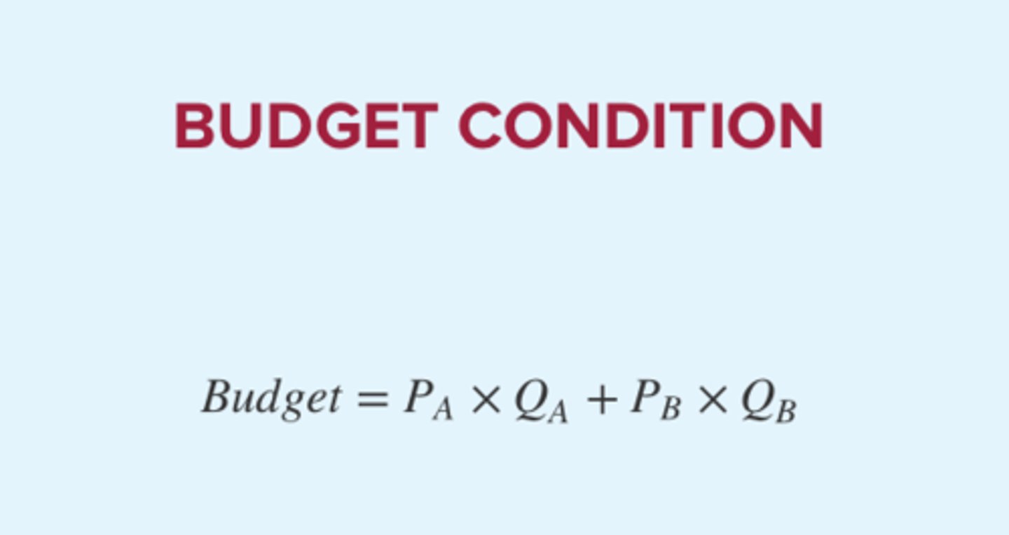 <p>A line showing the different combinations of two products that can be purchased with a given budget and at a known set of prices</p>