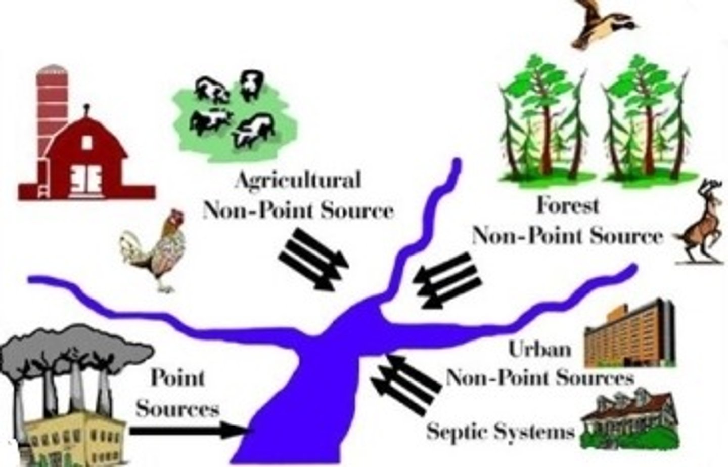 <p>Pollutants discharged from a single identifiable location (e.g., pipes, ditches, channels, sewers, tunnels, containers of various types).</p>