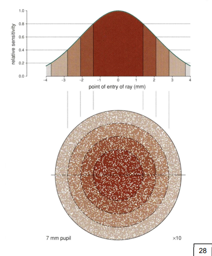 <p>photon direction cone absorption</p>