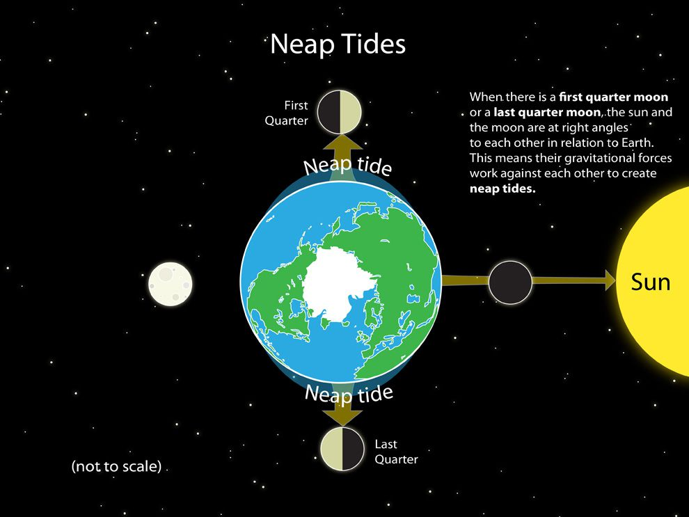 <p>The smallest tidal range occurs.</p>