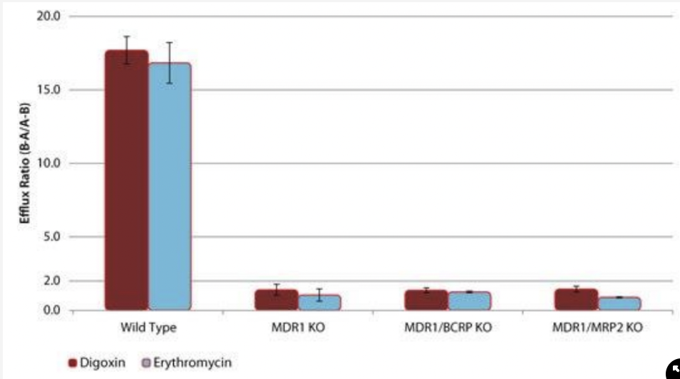 what does this graph tell you about the efflux of the two drugs?