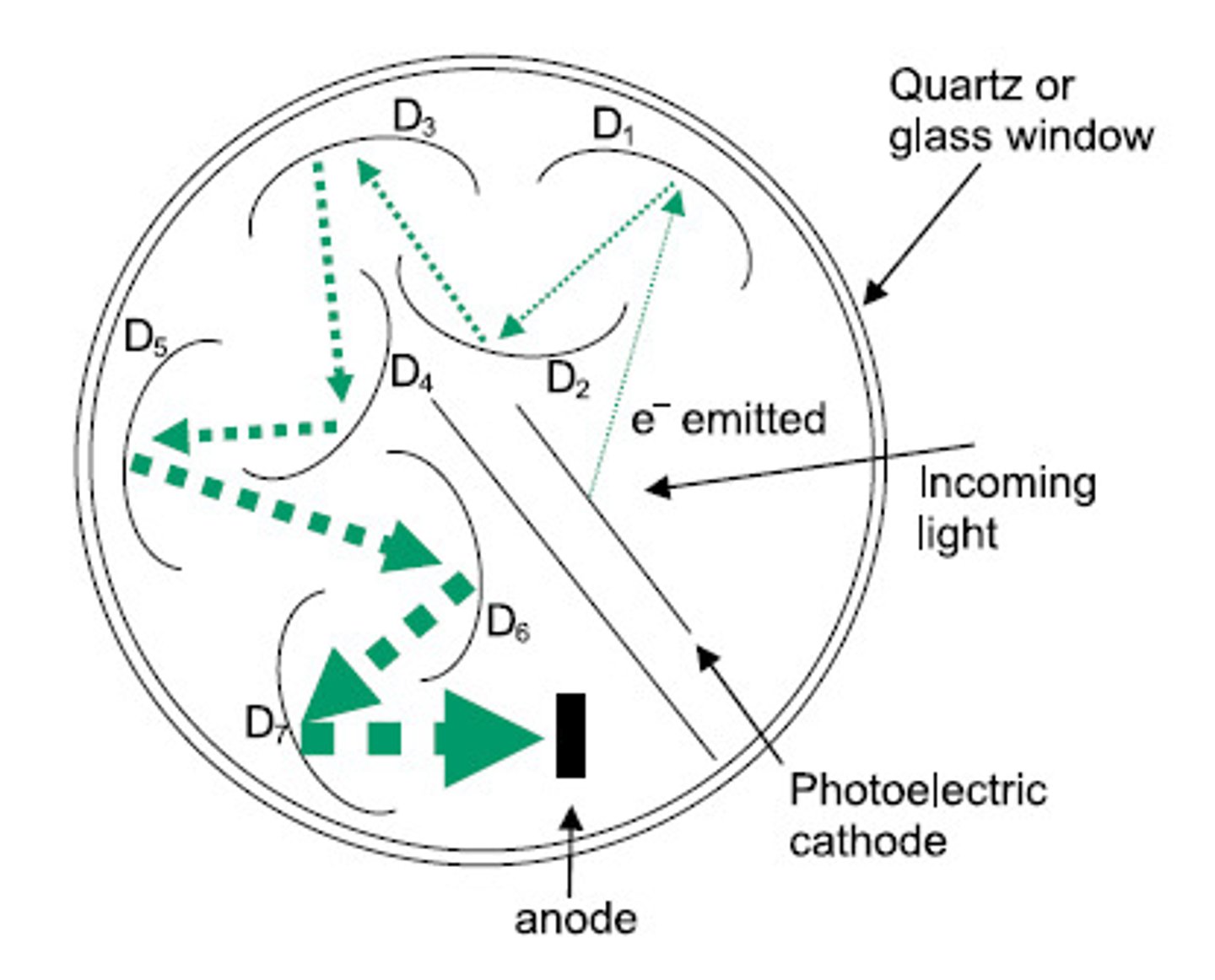 <p>An apparatus that converts a photon of visible light into an electrical pulse, for example as part of a gamma camera.</p><p>cathode, anode, dynode</p><p>dynode: u shaped things</p><p>anode: at the end</p><p>cathode: beginning</p>