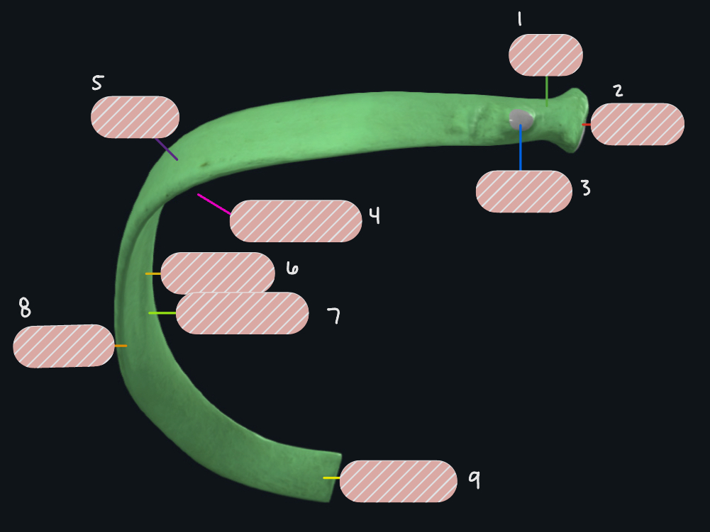 <p>Label 8</p>