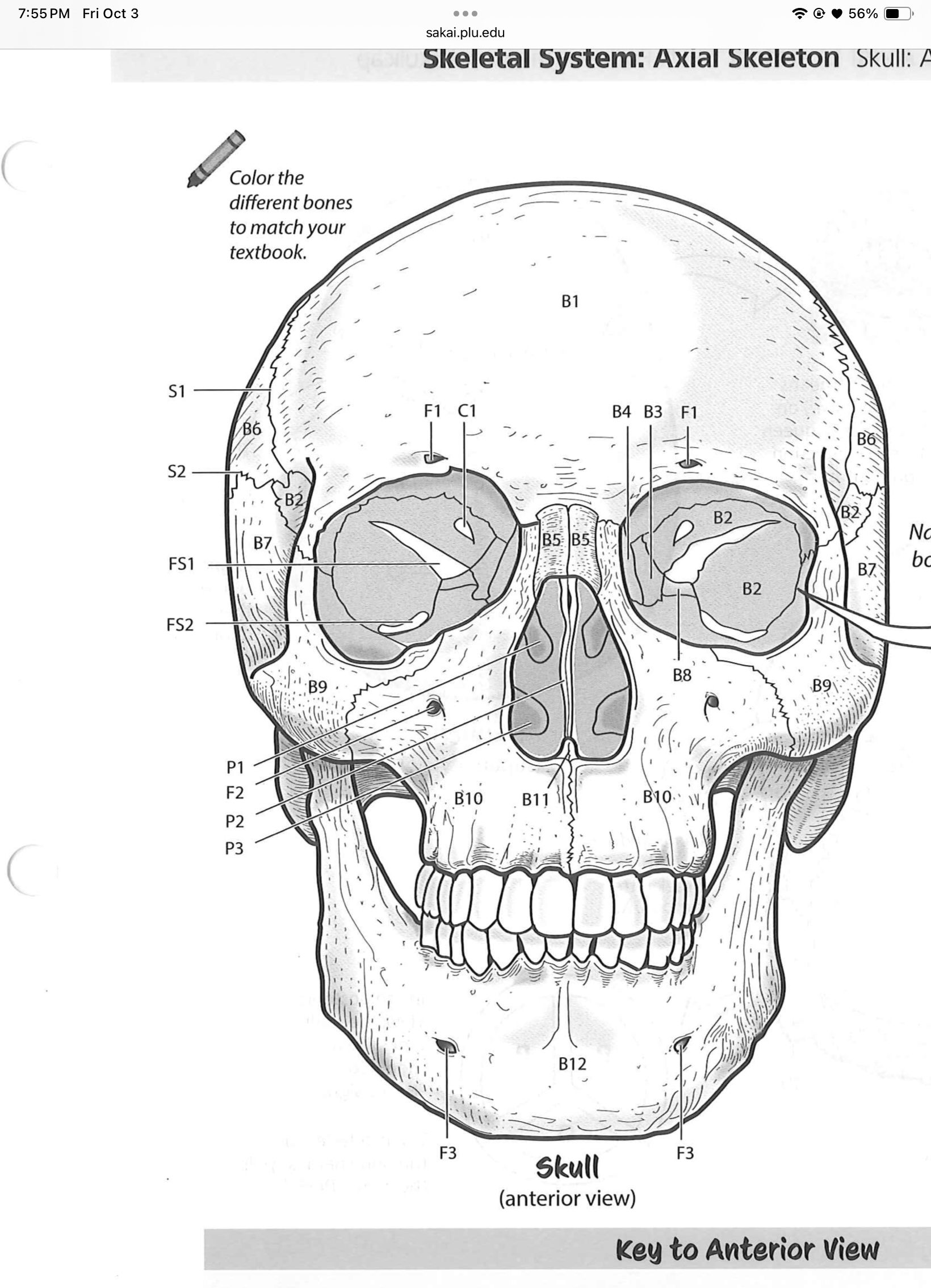 <p>B11</p>