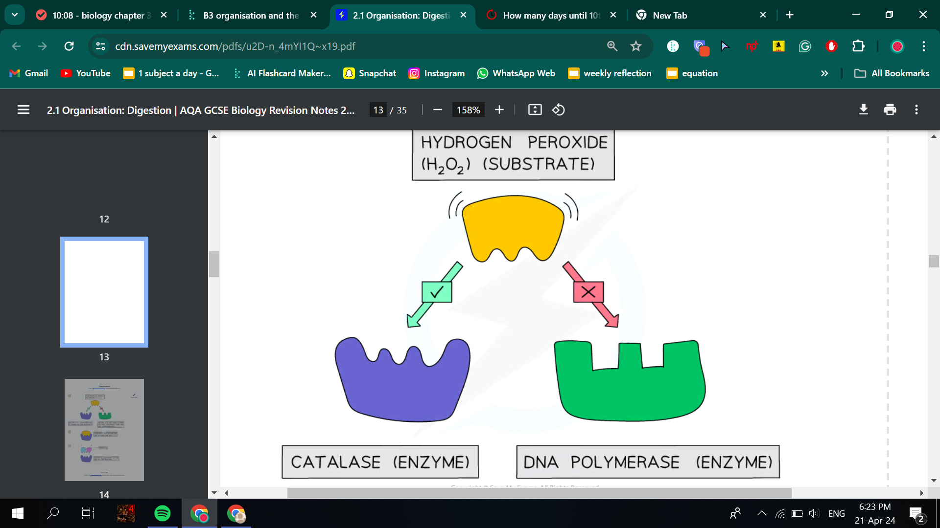 <p>what?</p><p>The ‘lock and key theory’ is one simplified model that is used to explain enzyme action The enzyme is like a lock, with the substrate(s)the keys that can go into the active site of the enzyme with the two being a perfect fit</p><p>ezymes are specific to the substrates because of their specific shapes.</p><p>how?</p><p>the part that attaches to the substrate is called the active sight. they collide and become attached to the active site. then the enzyme breaks the bonds holding them together</p><p>why?</p><p>to break down food molecules into parts that are useable for respiration or making into other molecules</p>