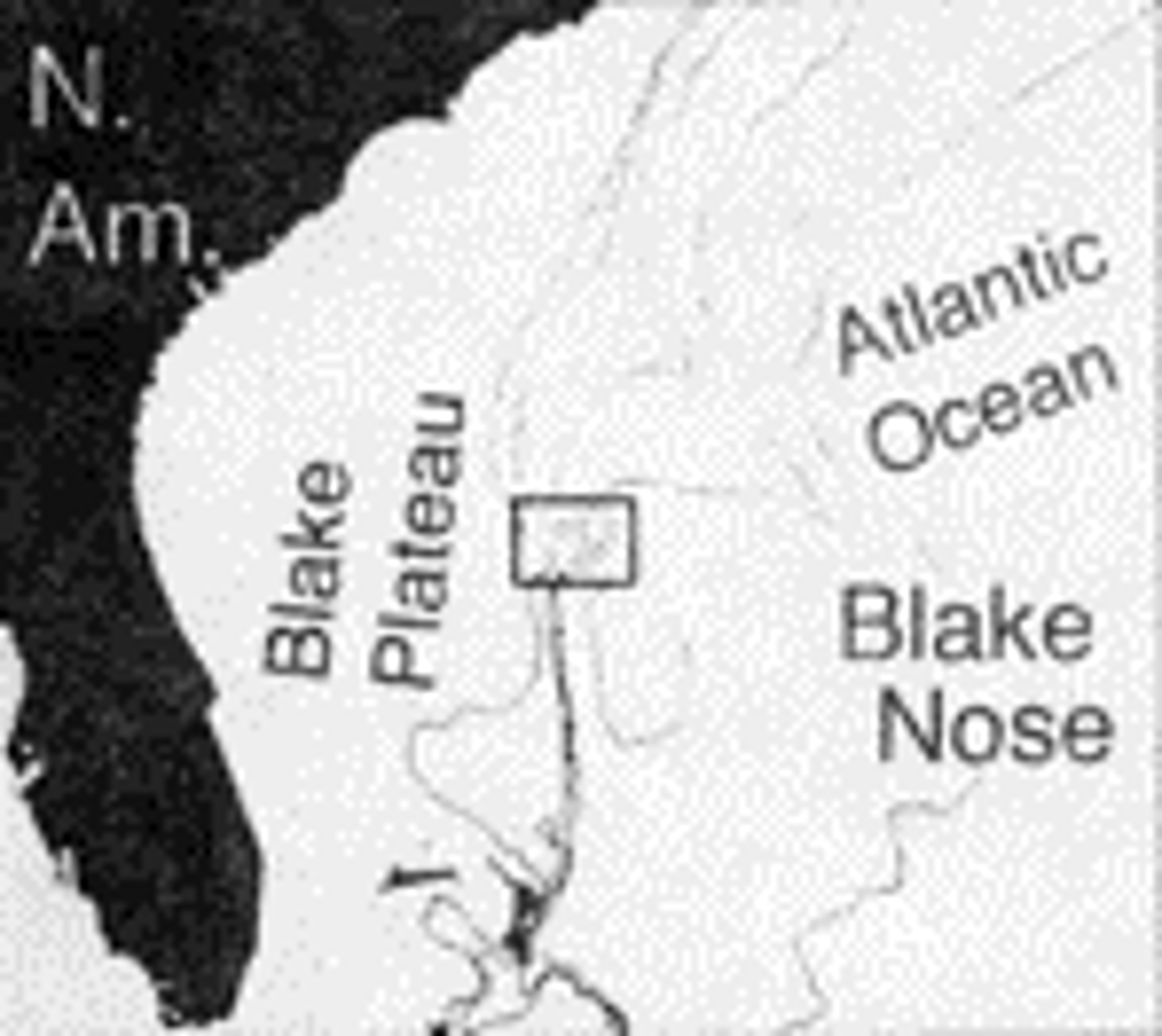<p>Complete K-T boundary, abrupt foram extinction</p>