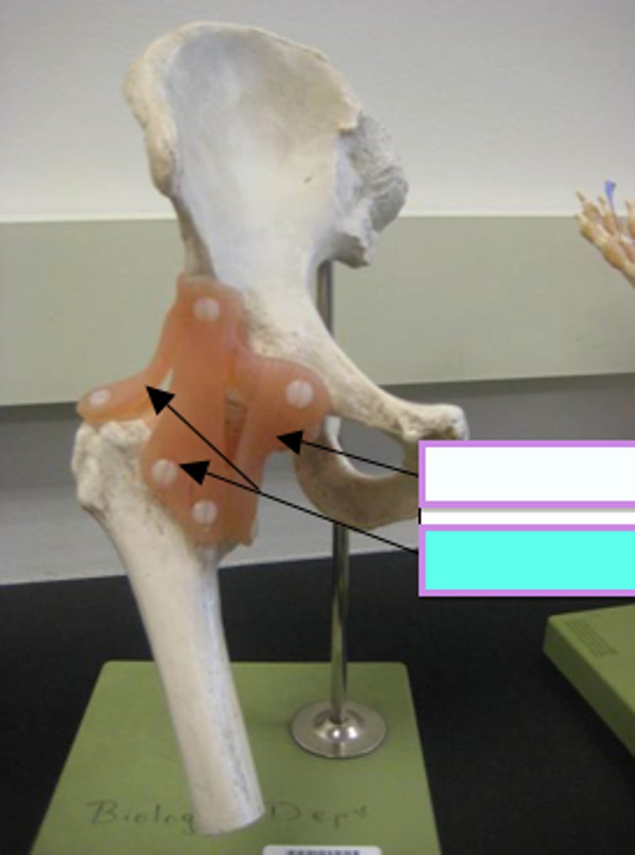 <p>Label all the points</p>