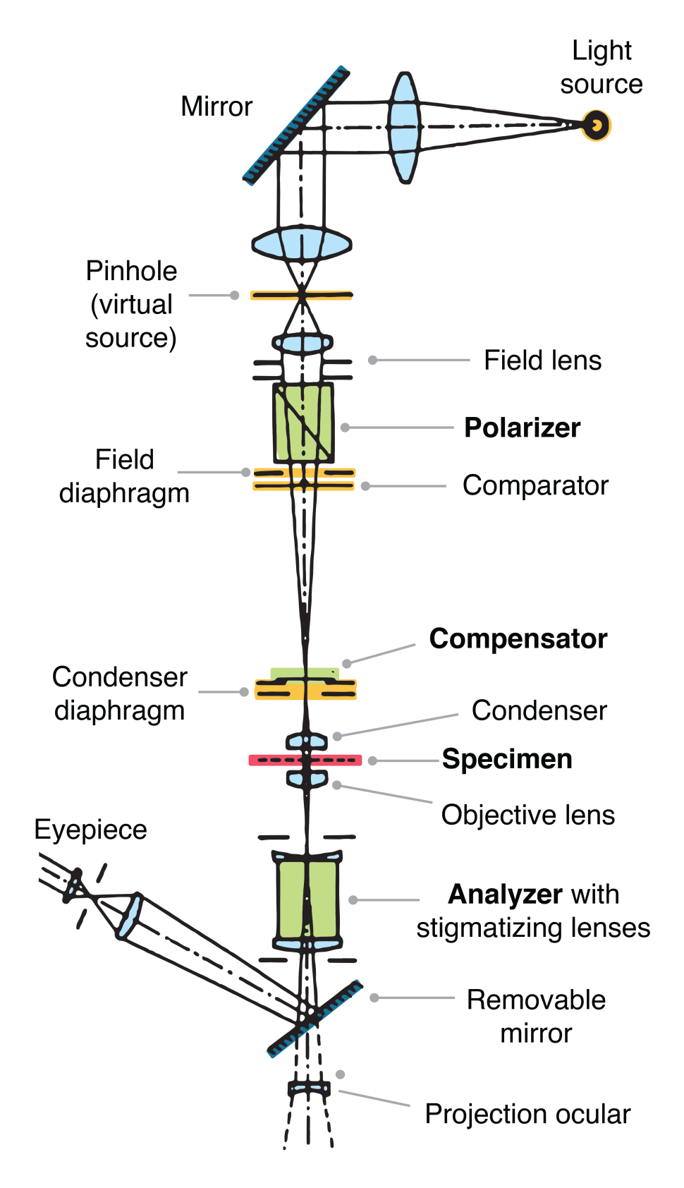 <p>A technique examining the interaction of plane-polarized light with matter. Can be used to study birefringent materials. Light waves normally vibrate perpendicular to their travel path. </p>