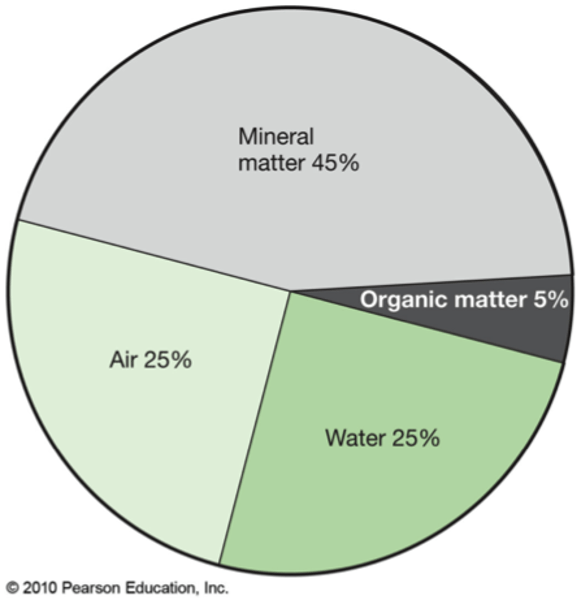 <p>Organic matter, organisms, nutrients, minerals, air and water.</p>