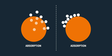 <p>What is the difference between <strong>adsorption</strong> and <strong>absorption</strong>? </p>