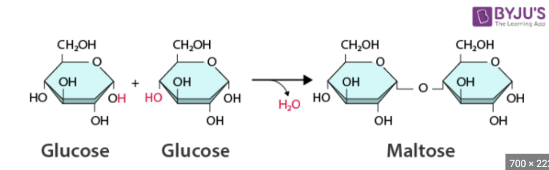 <p>dehydration synthesis </p>