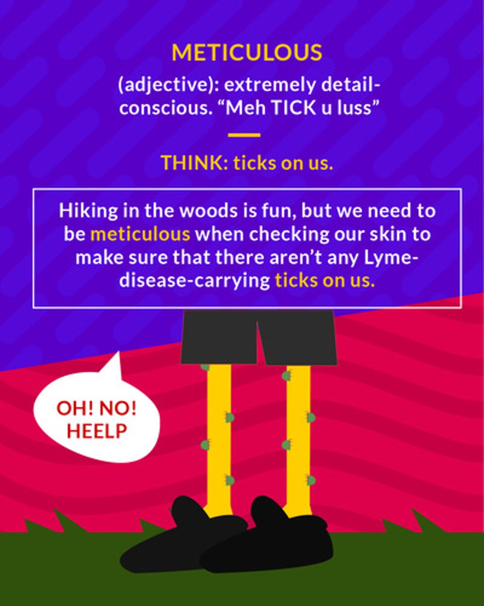 <p>(adj.) extremely detail conscious</p><p>(adj.) extremely careful; particular about details</p>