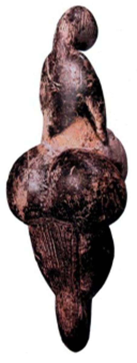<p>˗ˏˋ ★ ˎˊ˗</p>