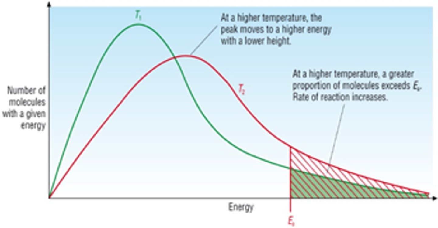 <p>1. Reactions go faster at higher temperatures because a larger proportion of the colliding molecules have the minimum activation enthalpy/ energy equal to or greater than the activation energy needed to react. So on collisions a greater proportion of the molecules will overcome the activation energy of the reaction. The frequency of collisions that result in a reaction will increase- more successful collisions per unit time/ a greater proportion of/ more likely the collisions will lead to a chemical reaction- faster rate of reaction.</p><p>How this changes Boltzmann distribution- pushed to right larger area contained under Ea which means more molecules have greater then or equal to the activation energy.</p><p>2. And at higher temperatures the average kinetic energy of all the particles increases and will move faster, more kinetic energy means more frequent collisions increasing reaction rate</p><p>This also changes the shape of the Boltzmann distribution curve- pushed to the right, average energy of molecule is higher, also flatter- some molecules still have very little energy</p>