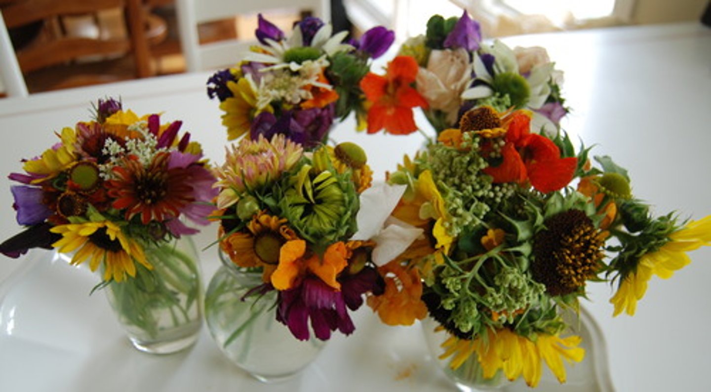 <p>/boʊˈkeɪ/ Bó hoa</p>