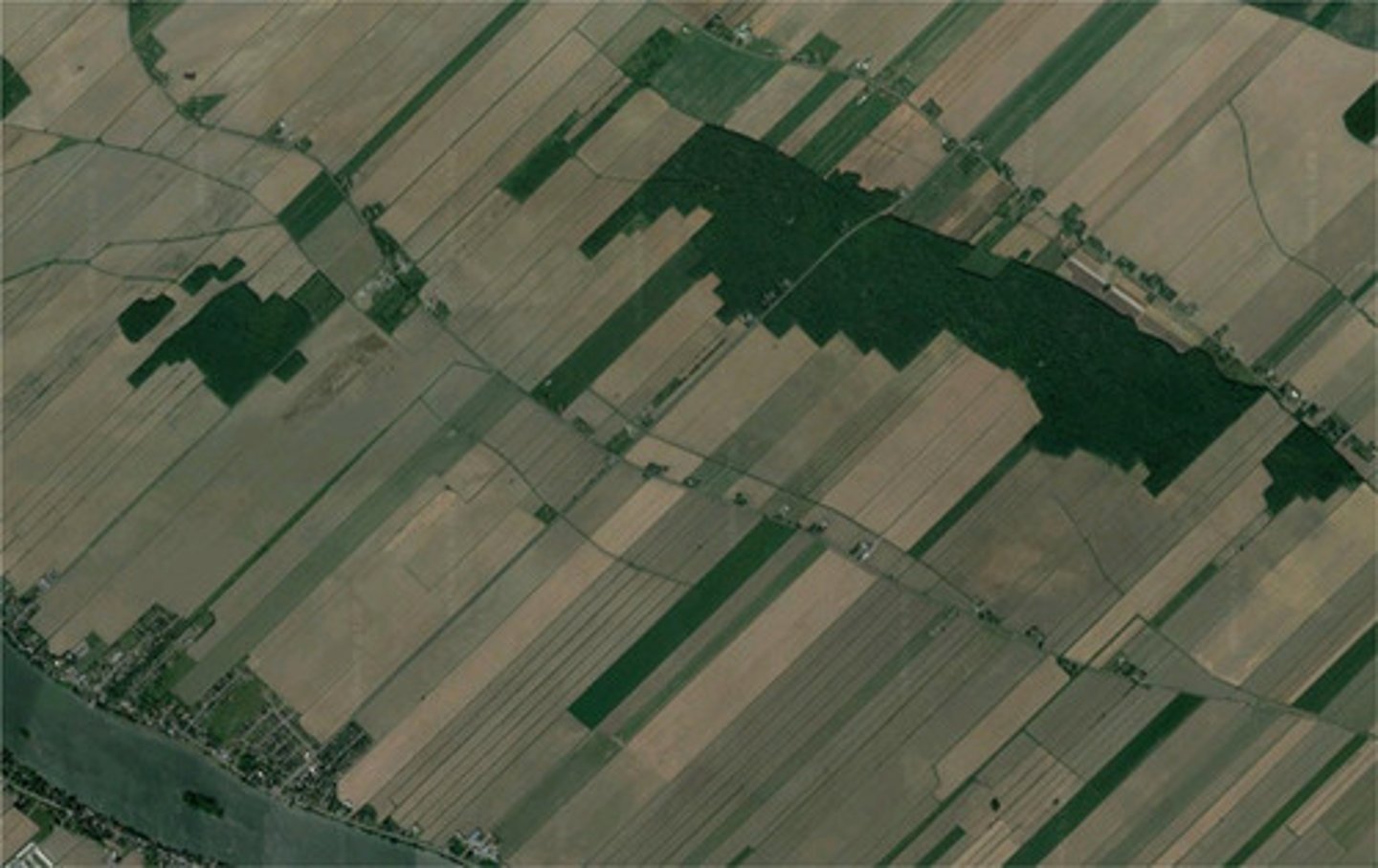 <p>A surveying method that uses a system of rectangles to divide the land, creating a linear settlement pattern.</p><p>-The short sides of the rectangular properties come up to rivers or roads, allowing more property owners to have access to essential watering or transportation systems in the area.</p>