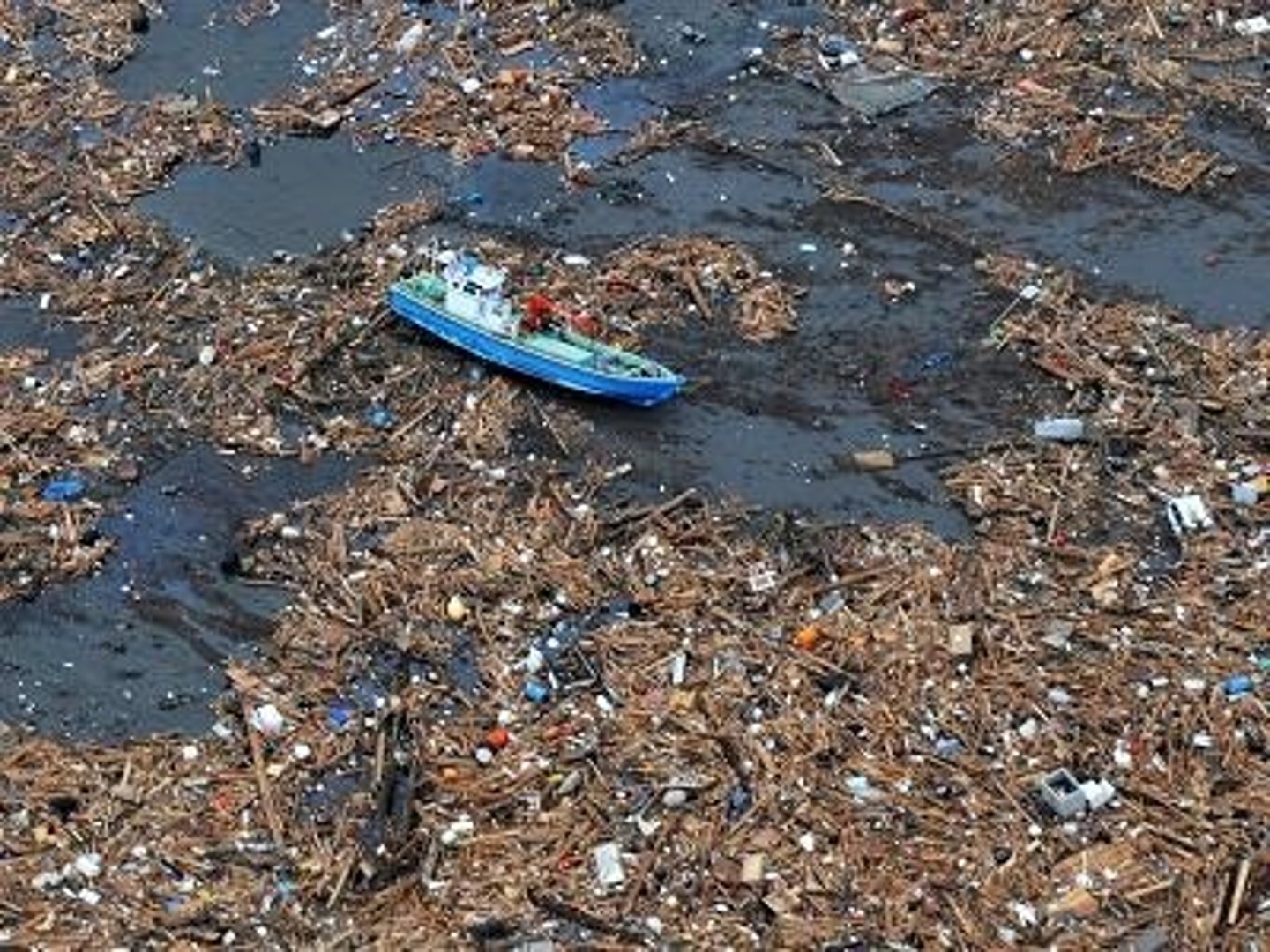 <p>Patch of solid waste the size of Texas floating in the currents of the North Pacific gyre, mostly consisting of plastics.</p>