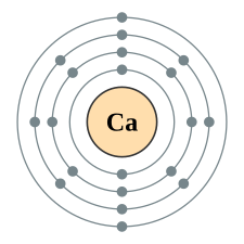 <p>Ca (20)</p>
