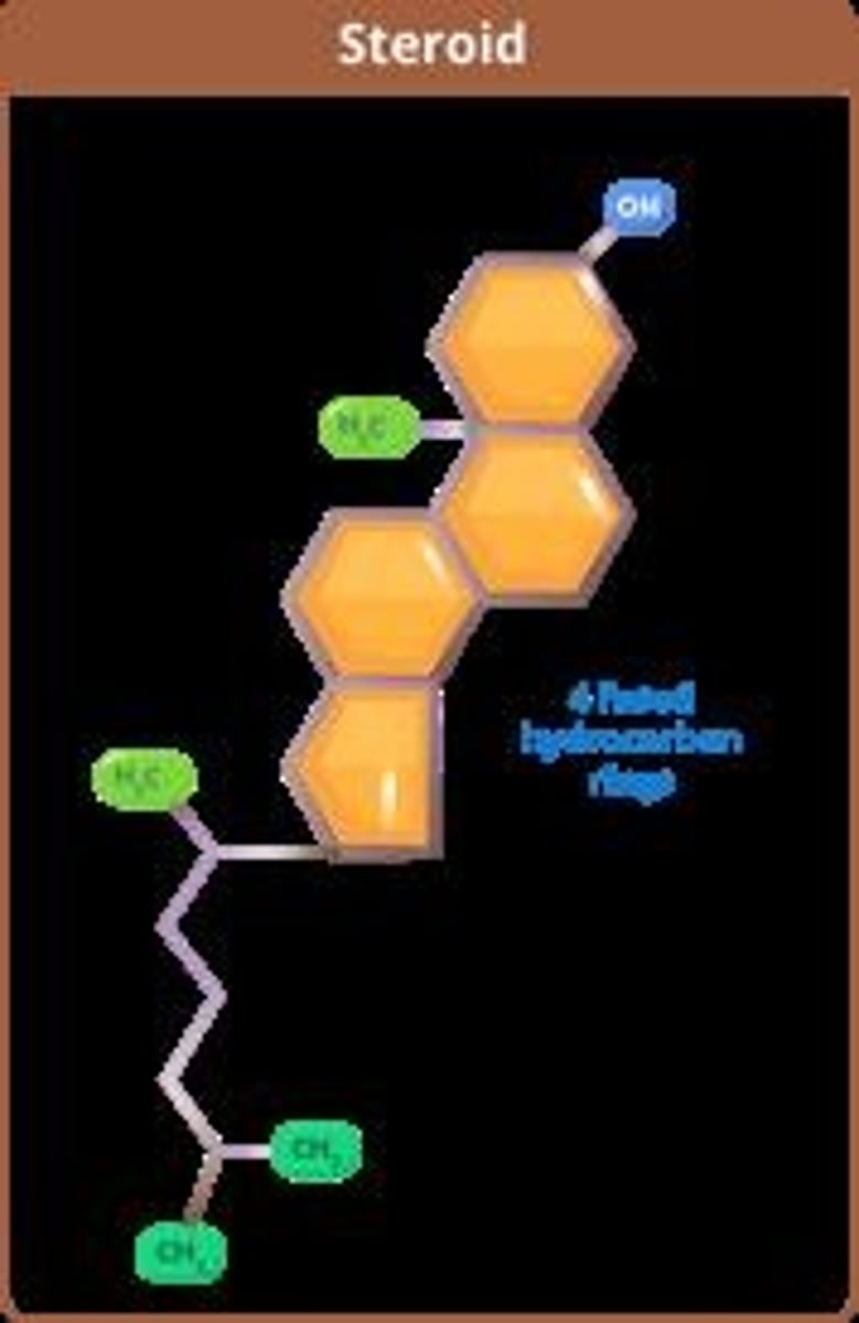 <p>Three 6-membered rings + one 5-membered ring</p>