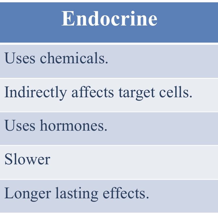 <ul><li><p>Uses chemicals</p></li><li><p>Indirectly affects target cells</p></li><li><p>Uses hormones</p></li></ul><p></p>