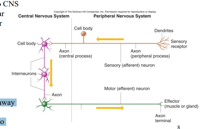 <p>Label the diagram </p>