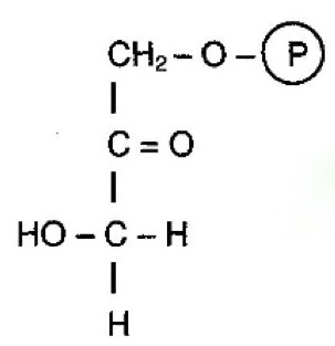 <p>What molecule is this?</p>