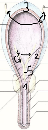 <p>podaj od 1-6</p>