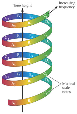 <p>Shepard, 1982; shows the relation of both pitch and frequency, and of pitch similarity across octaves</p>