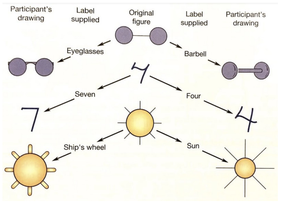 <p><span><span>One interesting experiment:</span></span><br><span><span>1. Show the original pic to the participant</span></span><br><span><span>2. Each person gets a different label for the pic</span></span><br><span><span>3. After some time, ask them to draw the pic again</span></span><br><span><span>4. The drawing heavily influenced by the verbal descripton!!</span></span></p>