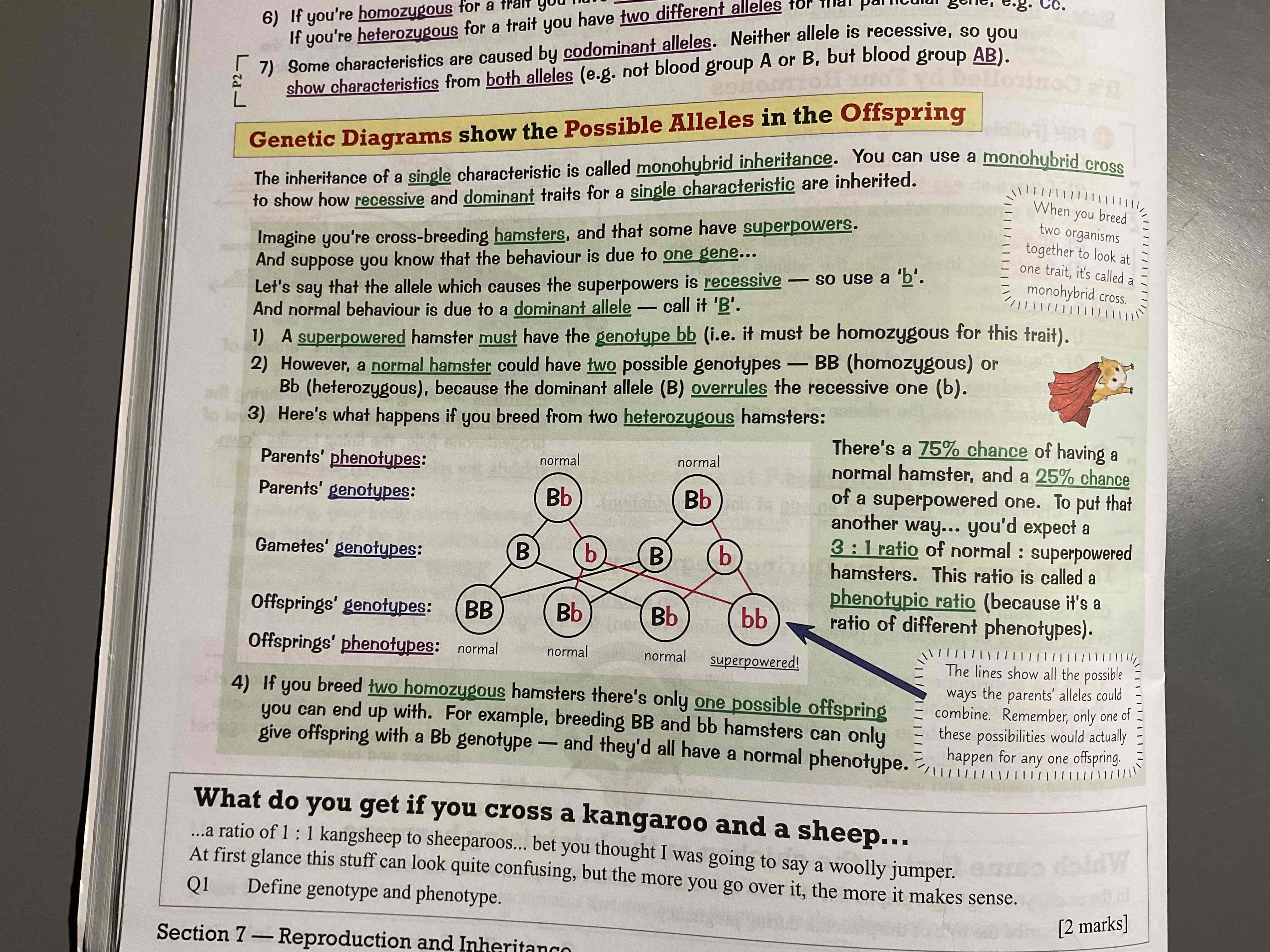 knowt flashcard image