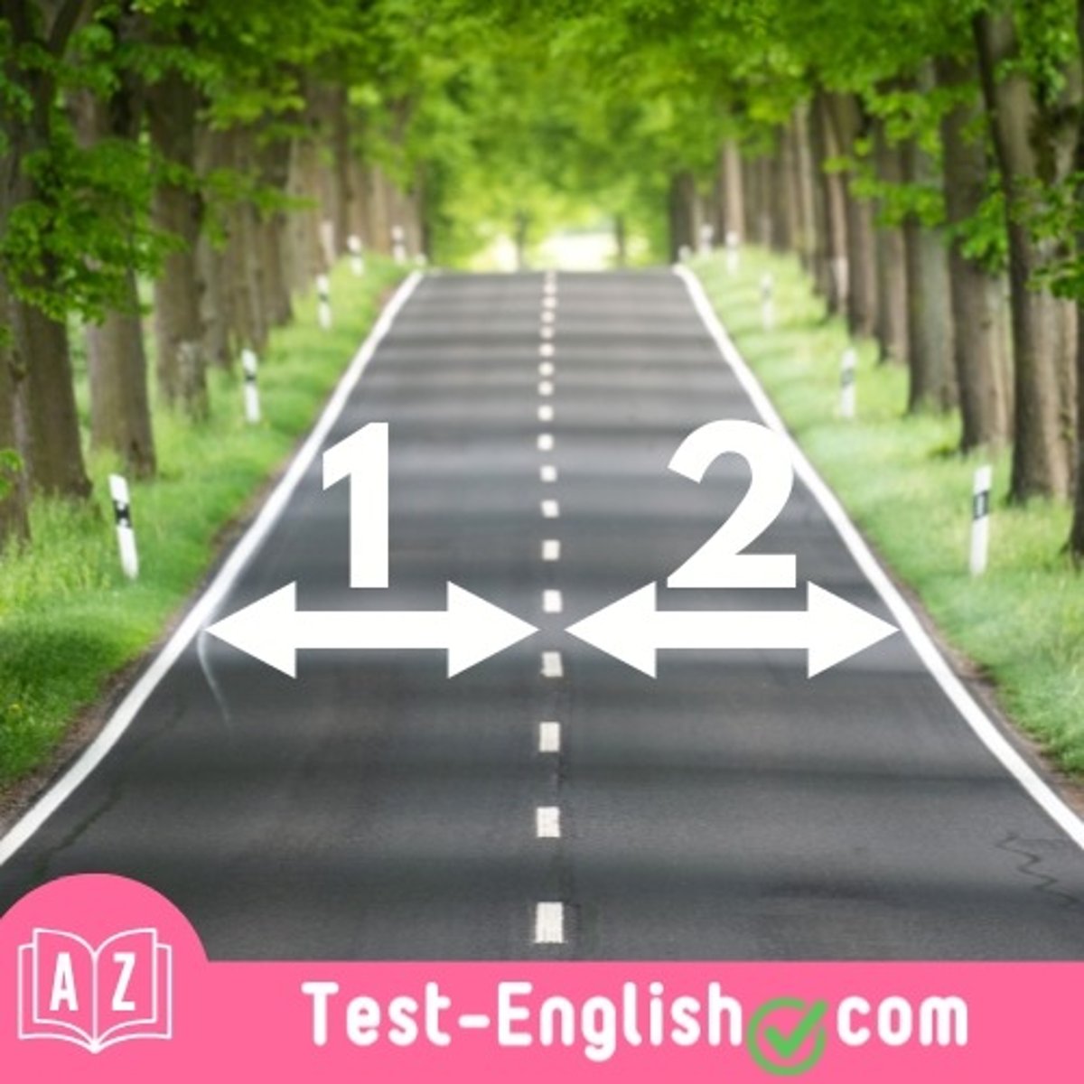 <p>He stayed in the left _____ to make a turn.</p>