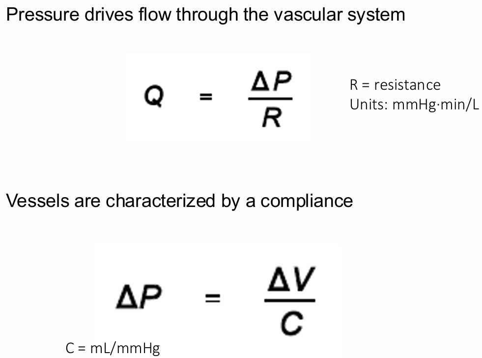 <ul><li><p> Pressure drives flow through the vascular system</p></li><li><p> Vessels are characterized by a compliance</p></li></ul><p></p>