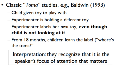 <p>Baldwin (1993)</p><ul><li><p>picture (can u see it?)</p></li></ul><p></p>