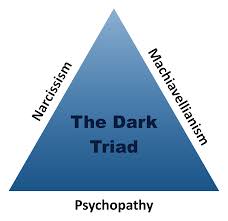<p>dark triad</p>