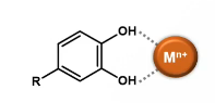 <ul><li><p>O-diphenol moieties of phenolics bind metals → bound metals are less reactive</p></li><li><p>Certain other moieties can also bind metals</p></li></ul><p></p>