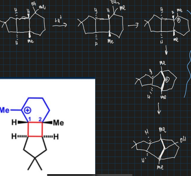 <p>Why does the carbocation go from tertiary to secondary in this reaction?</p>