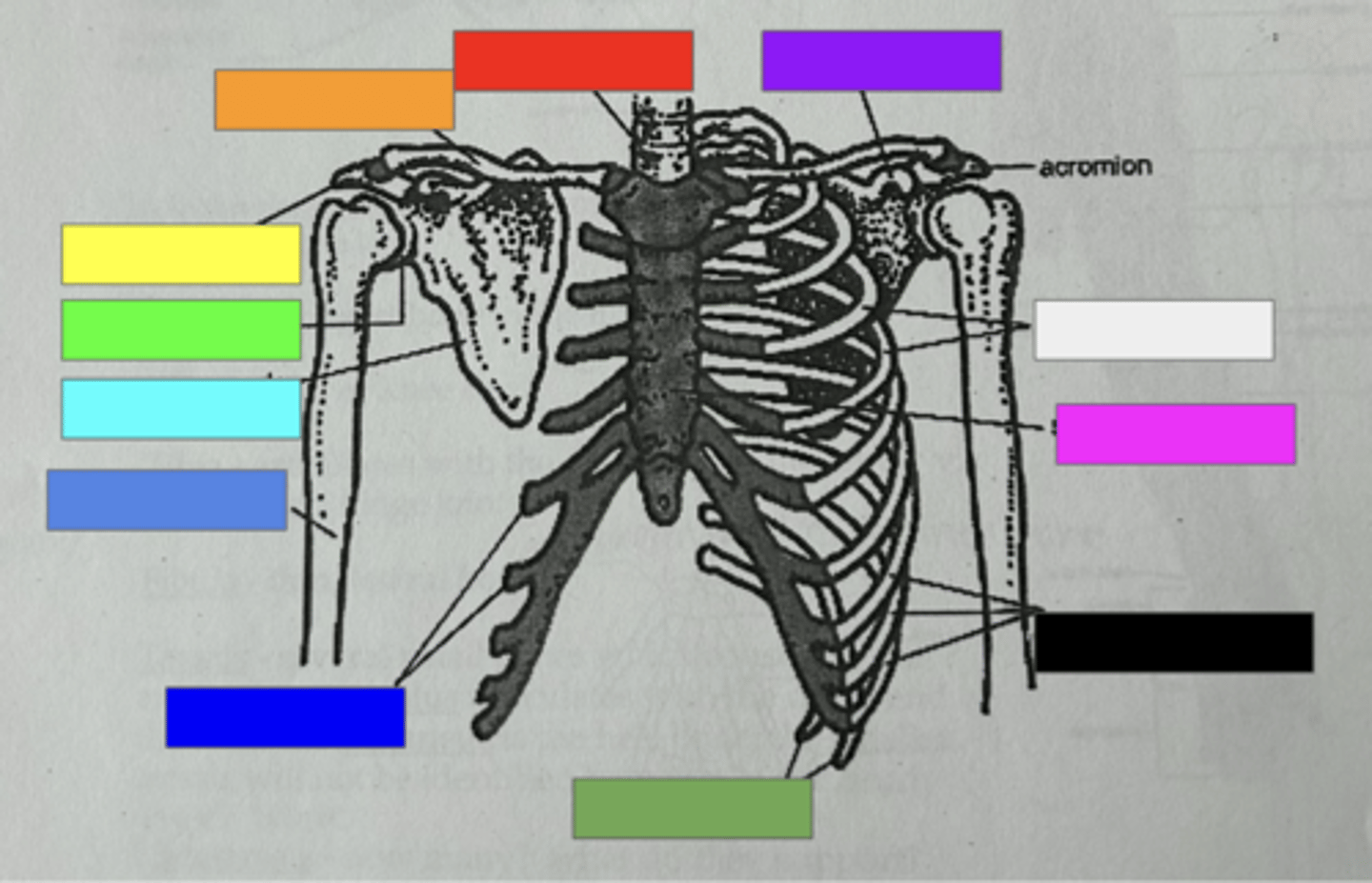 <p>what is the RIGHT purple box pointing to?</p>