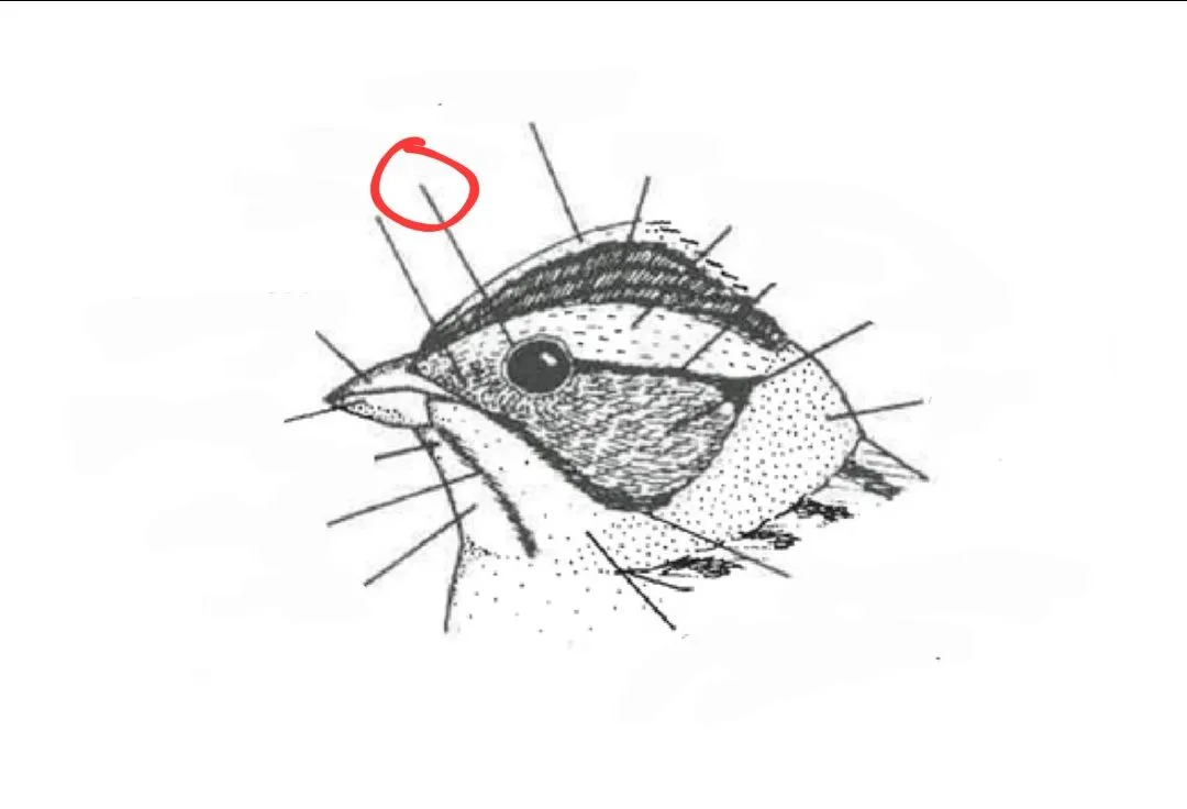 <p></p>